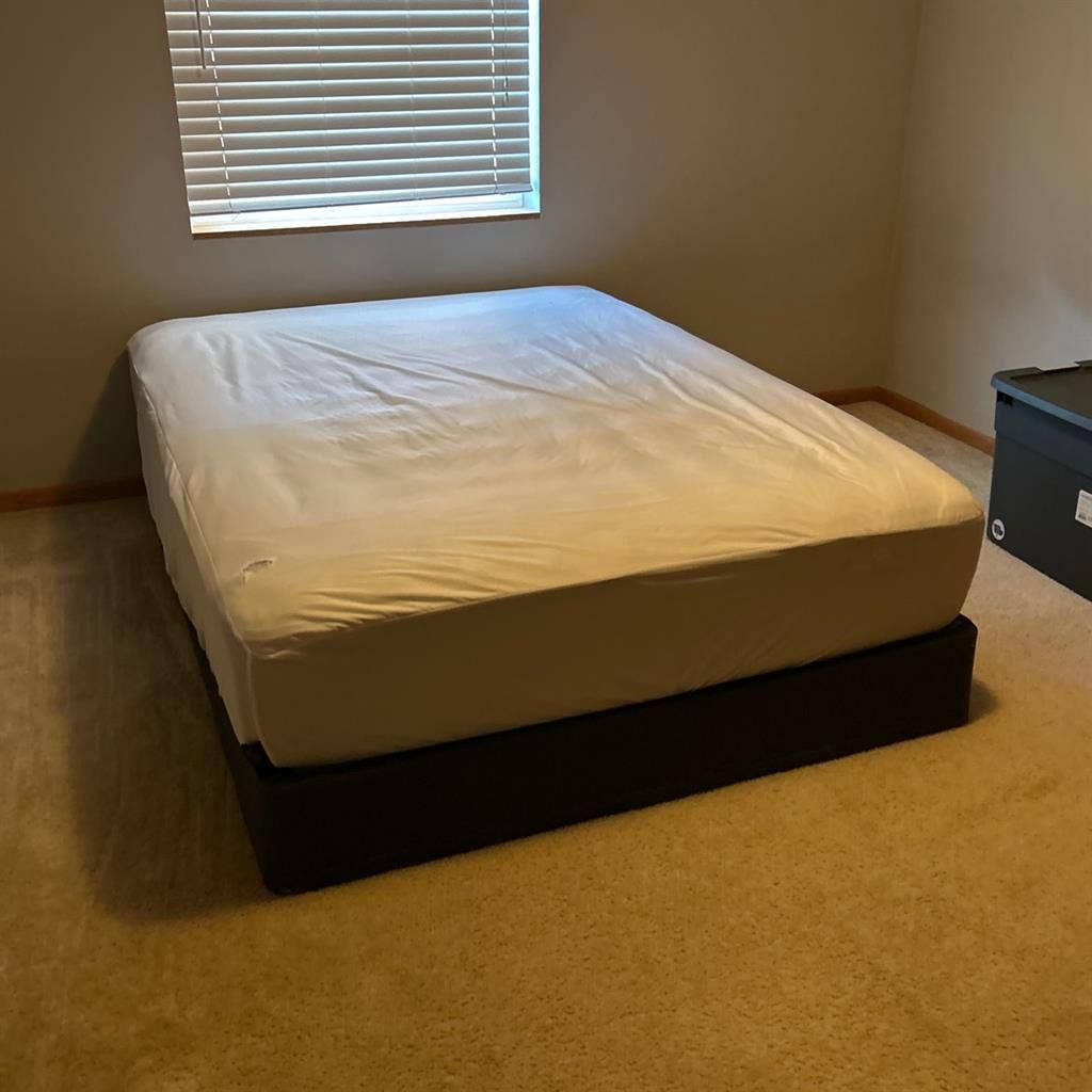 Need a roommate