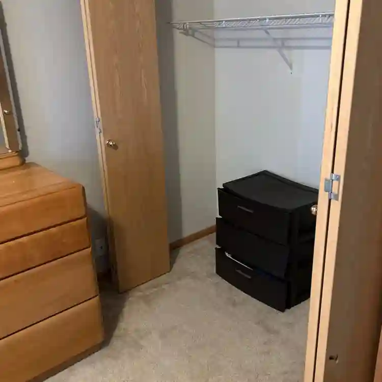 Need a roommate