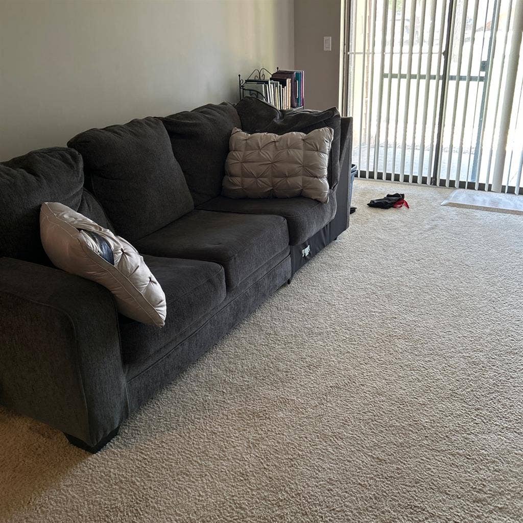 Need a roommate