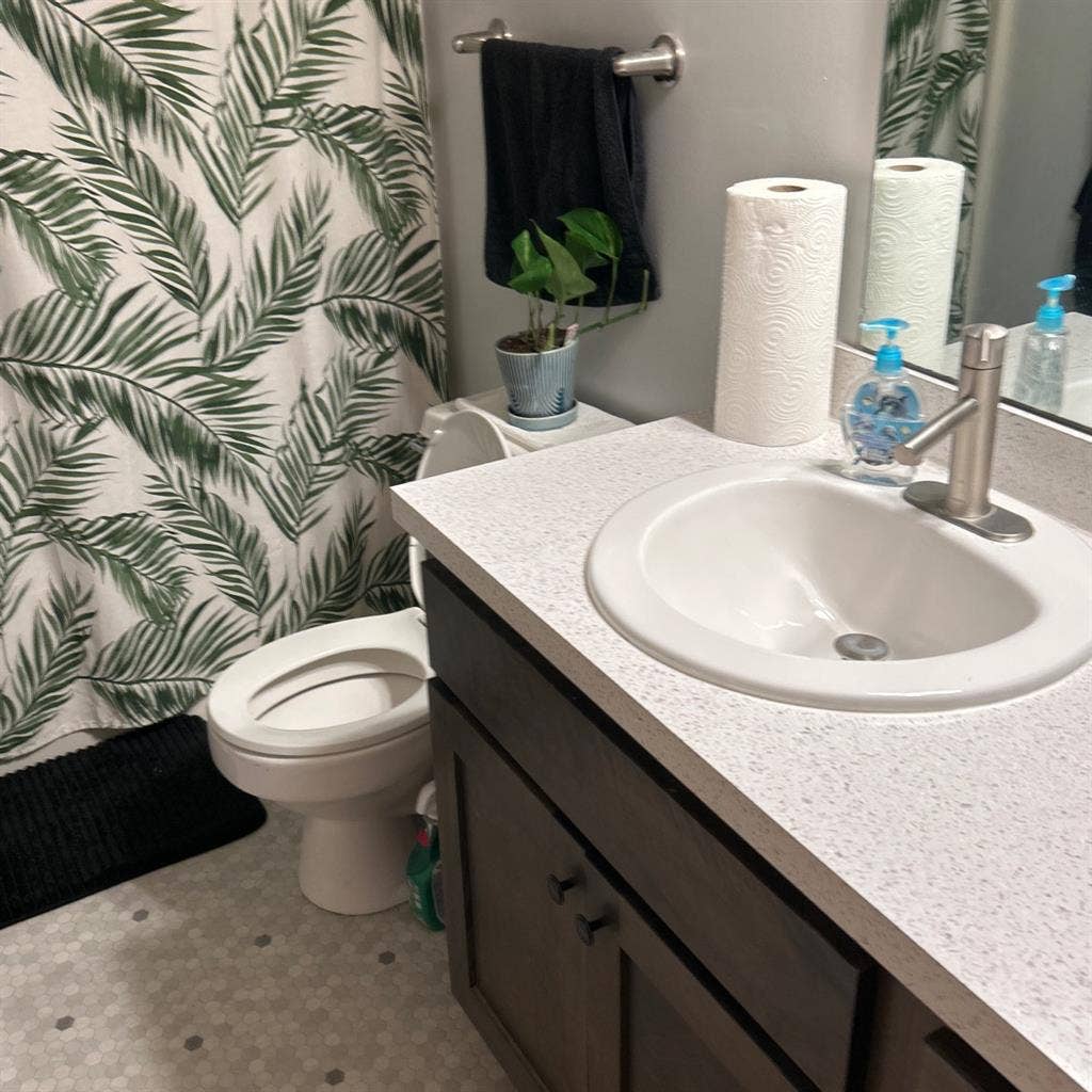 Need a roommate