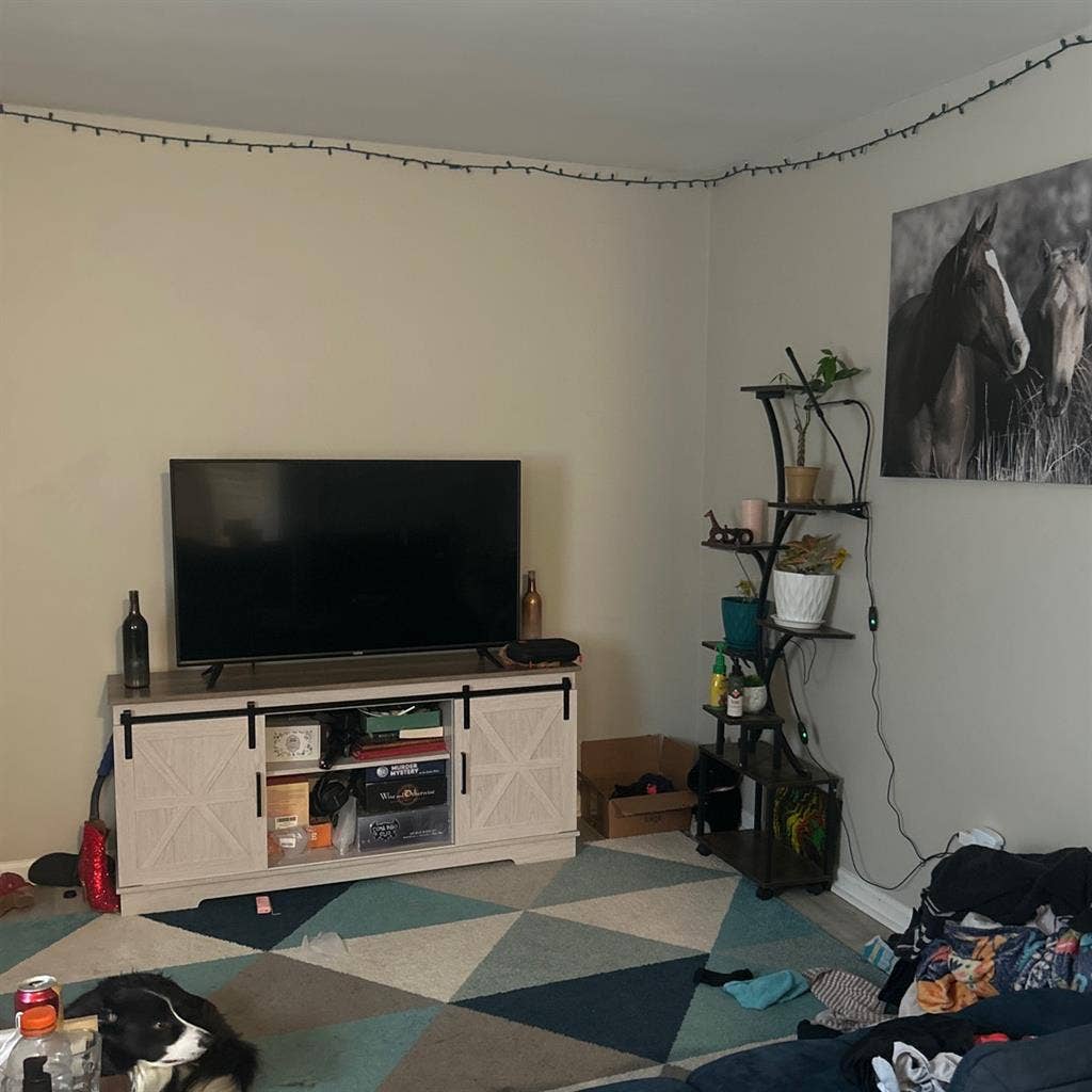 1 bedroom in 2 bed 1 bath apartment