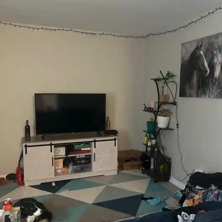 1 bedroom in 2 bed 1 bath apartment