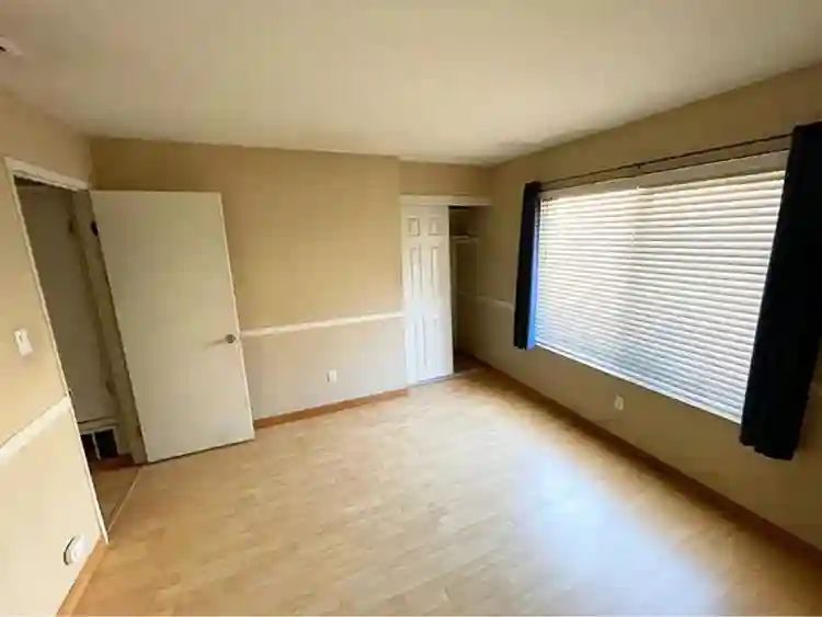 Room available in 2-bd 1-bath apt