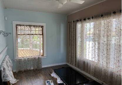 SINGLE IN HISTORIC HOME SAFE CLEAN