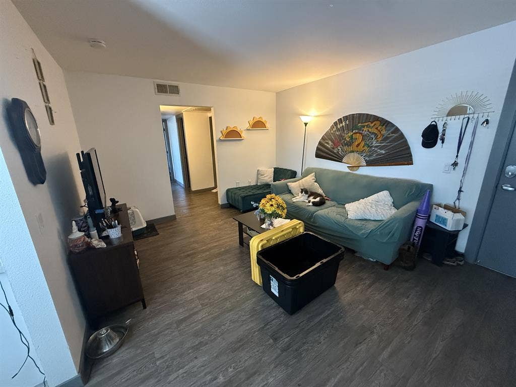 New Listing
