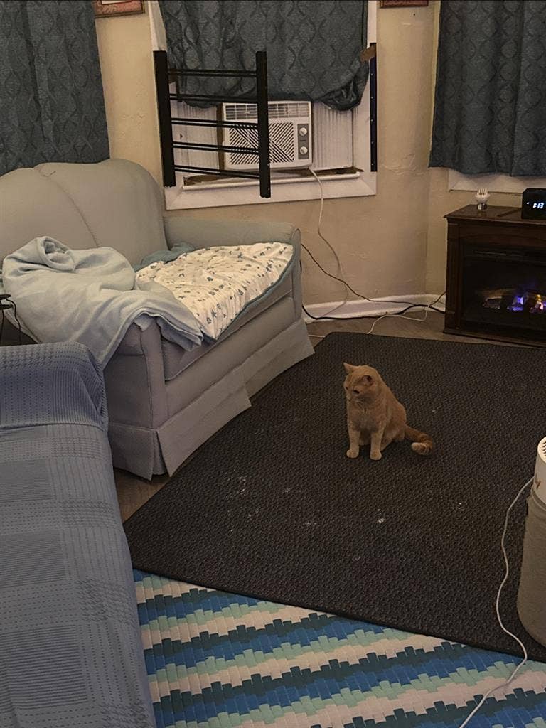 3 bedroom apartment with utilities