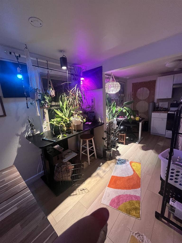 Private Room in Seattle Home
