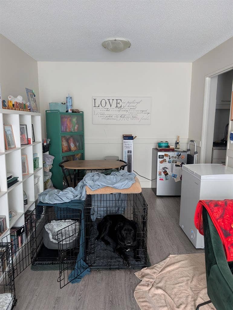 Room For Rent