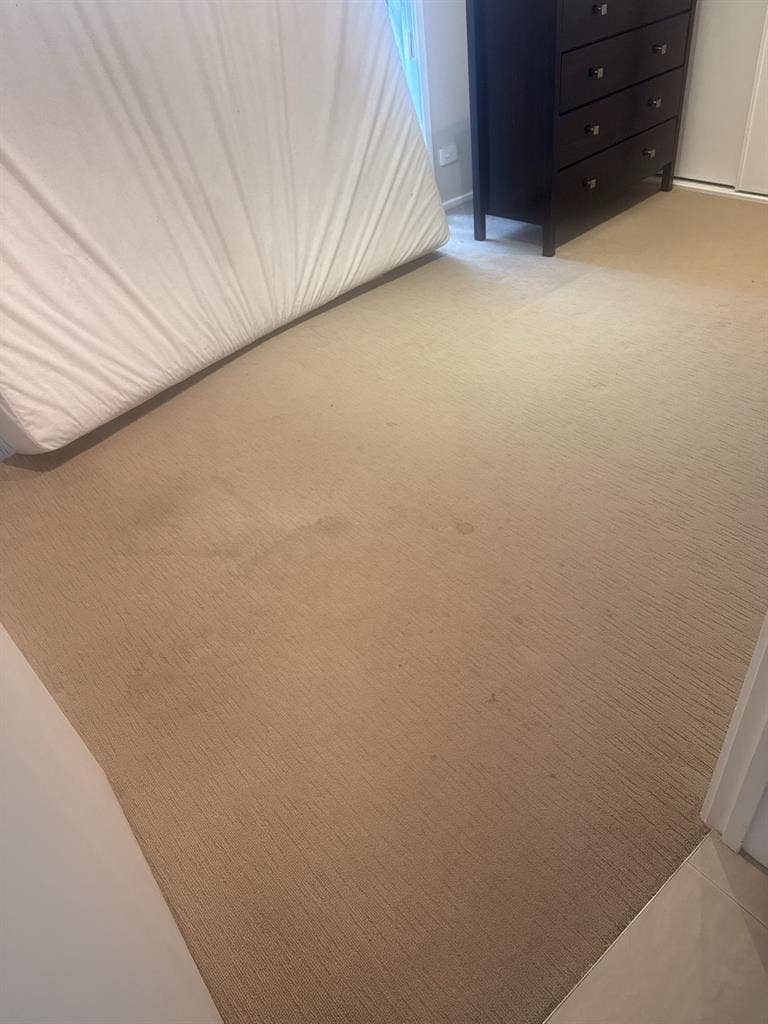 Looking for 1 or 2 roommates