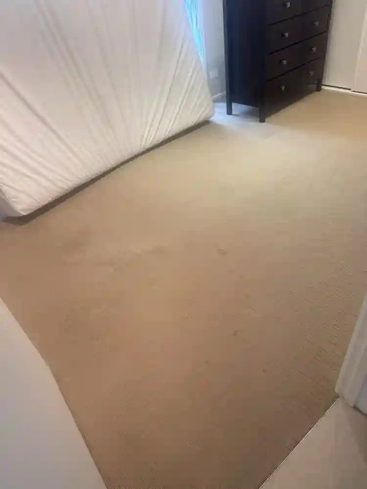 Looking for 1 or 2 roommates