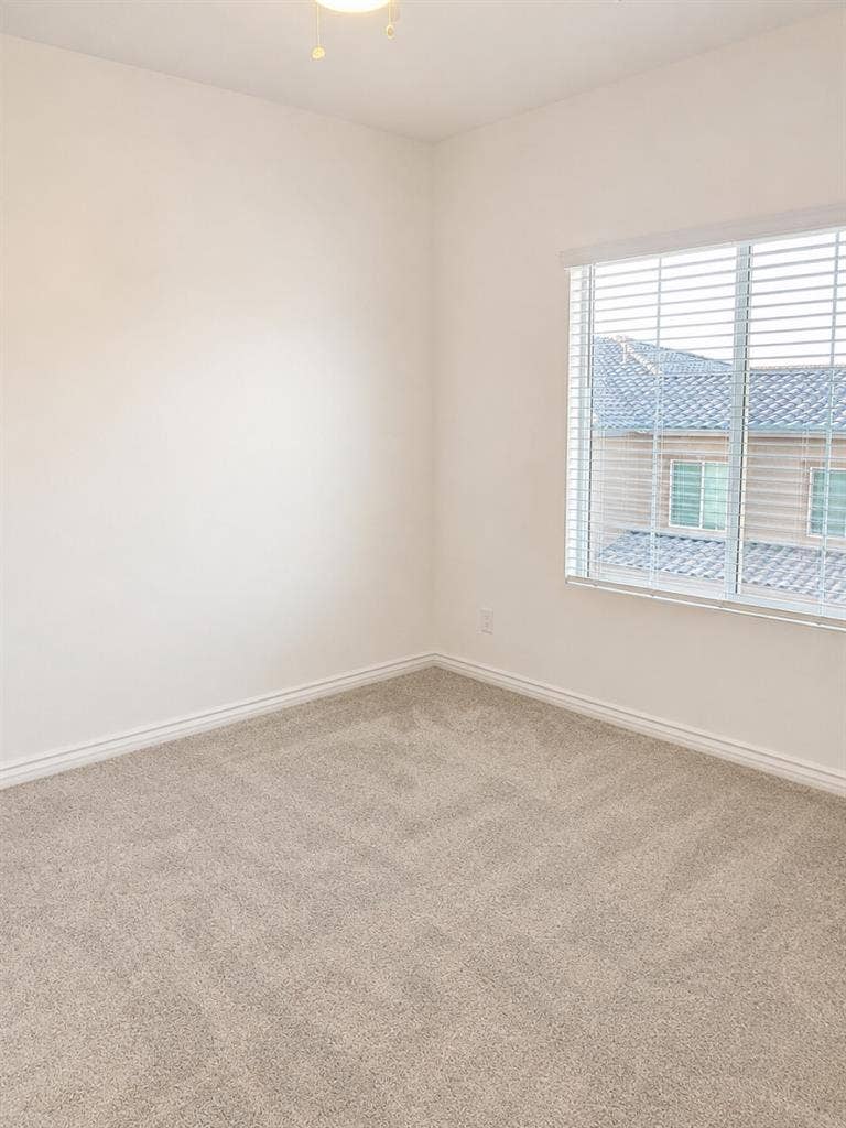 Room for Rent!