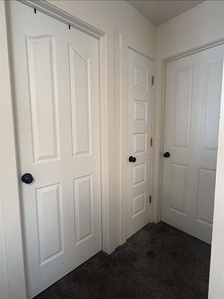 Room for Rent in Broomfield CO