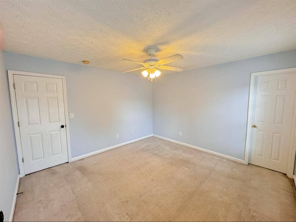 Roommate Wanted