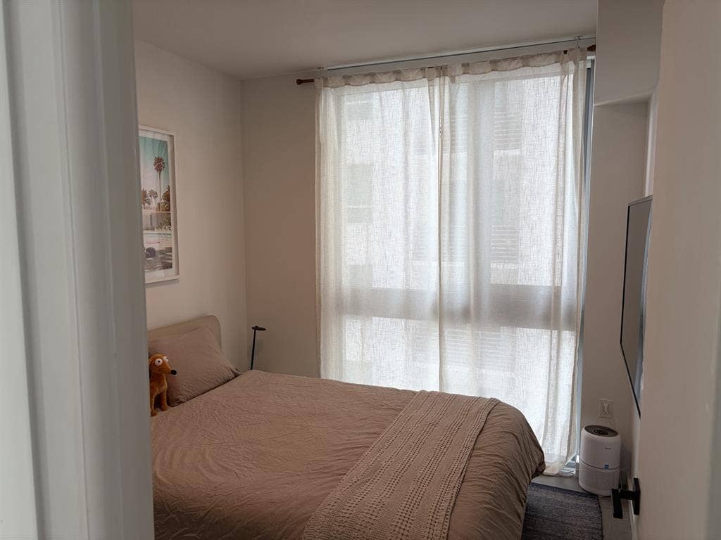 A room in a 1-bedroom apartment.