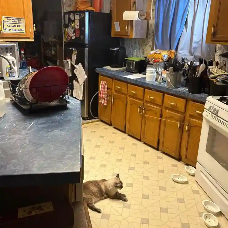 Sharing my home with 1 person
