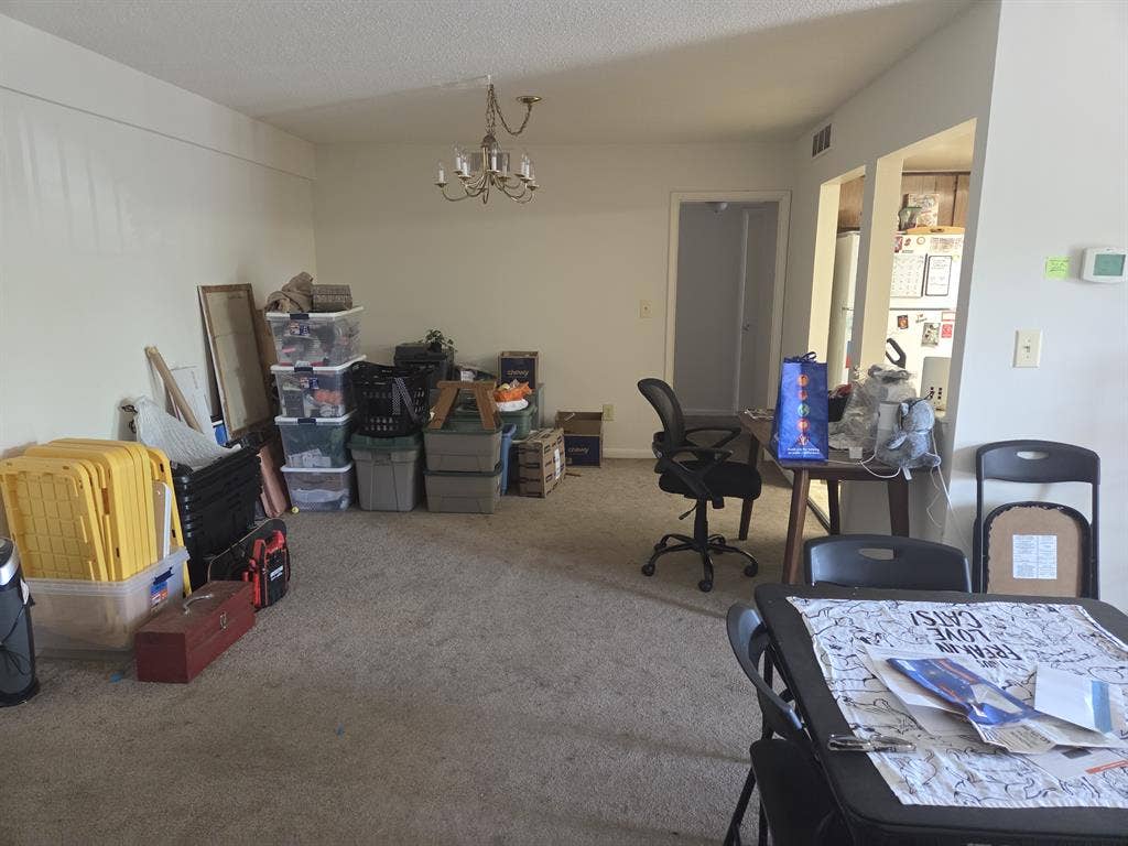 Looking for a Chill Roommate!