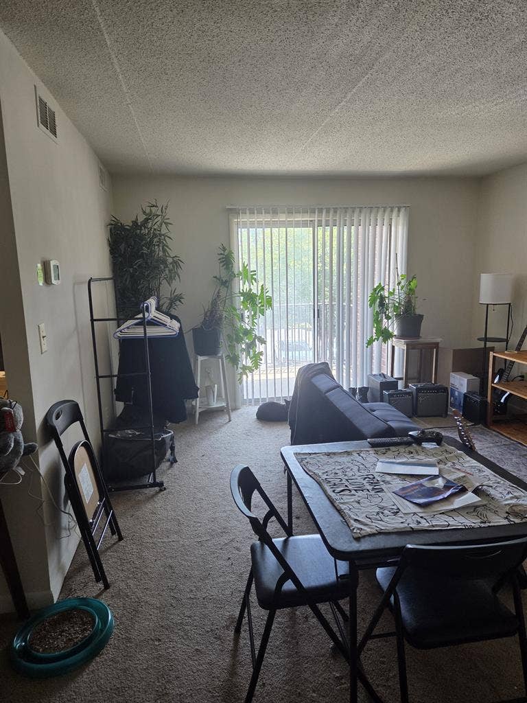 Looking for a Chill Roommate!