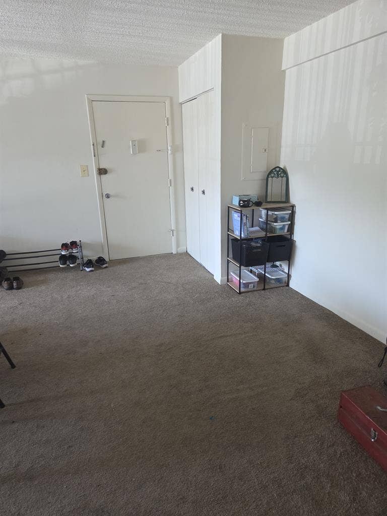 Looking for a Chill Roommate!