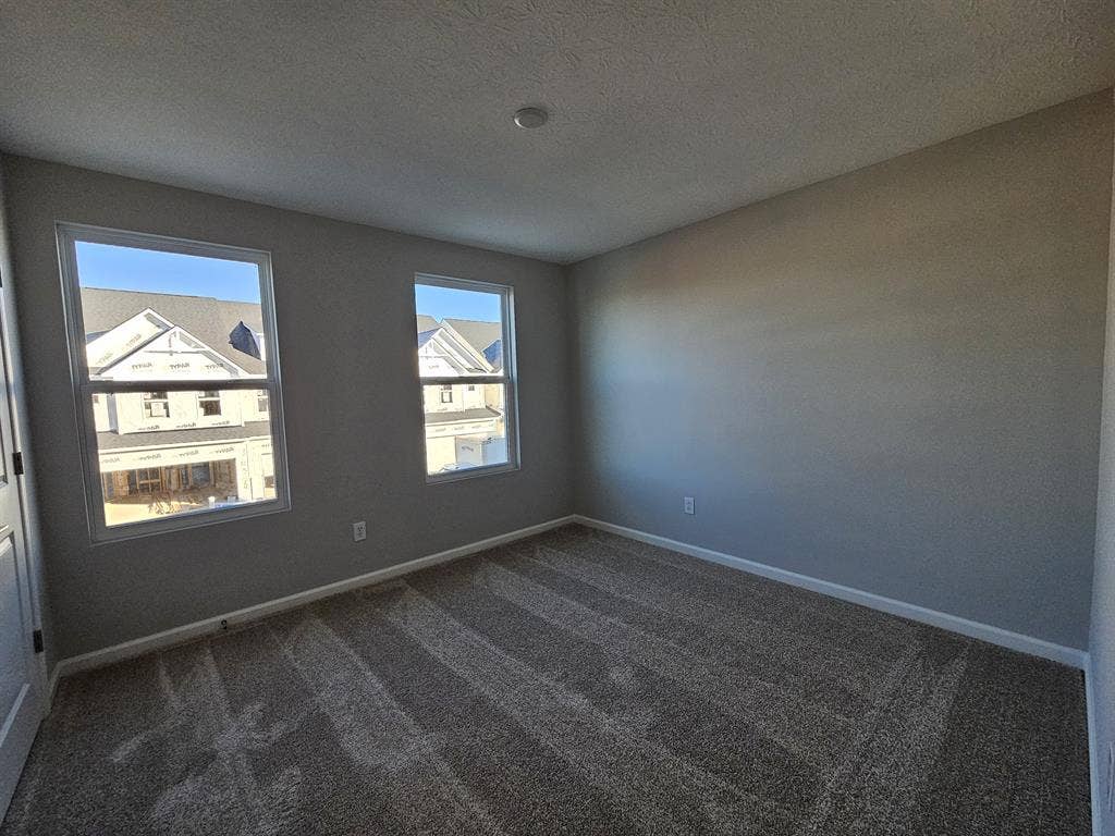 Roommate Wanted
