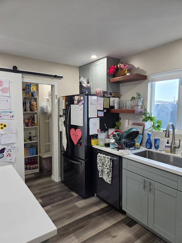 Room for rent in dog friendly home