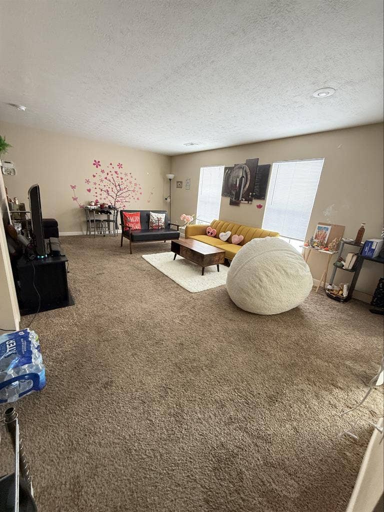 Roommate needed in Easton area