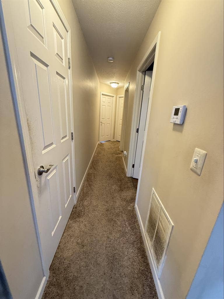 Roommate needed in Easton area