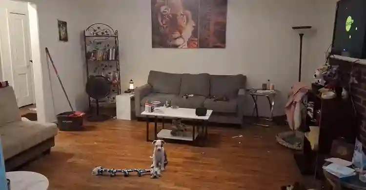 Room for rent in savannah furnished
