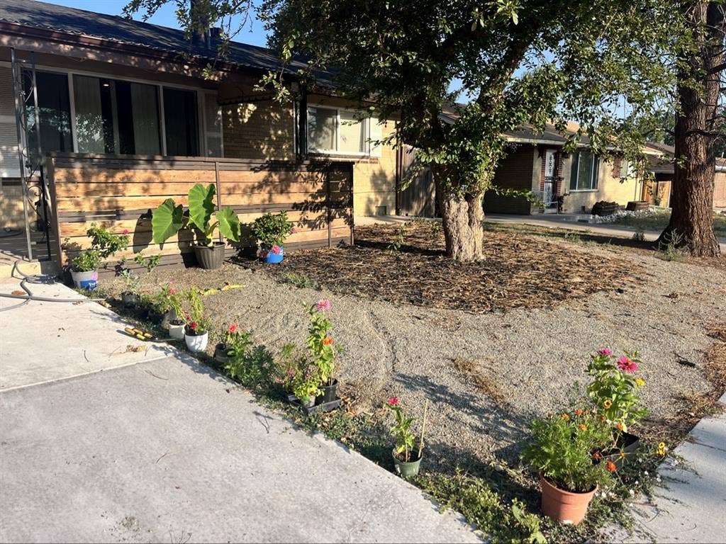 Roommate wanted in Harvey Park💜