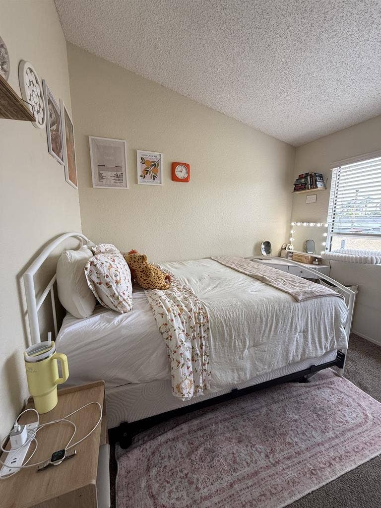 Seeking one roommate in Kensington