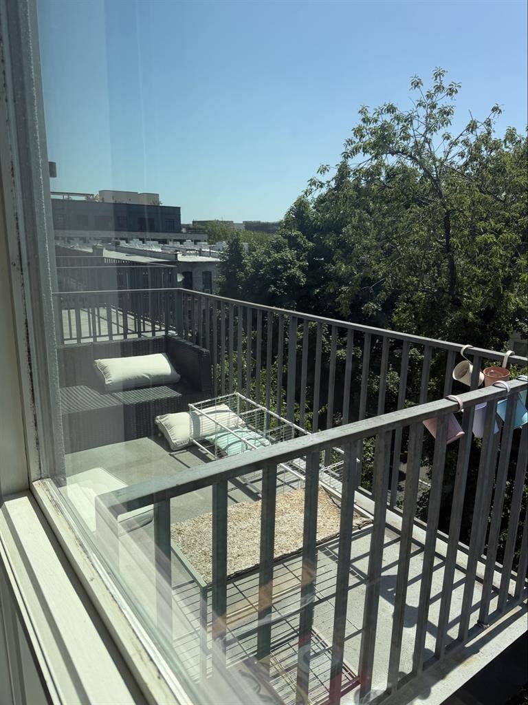 2 Rooms Available in Bushwick