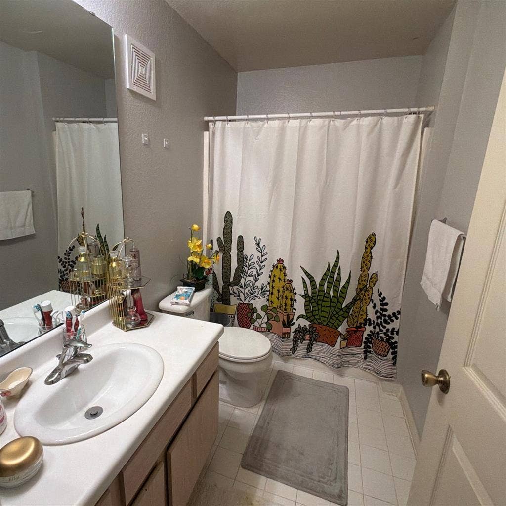 I looking for a roommate.