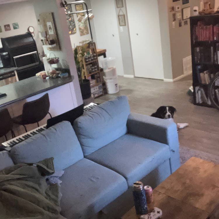 Room for rent!