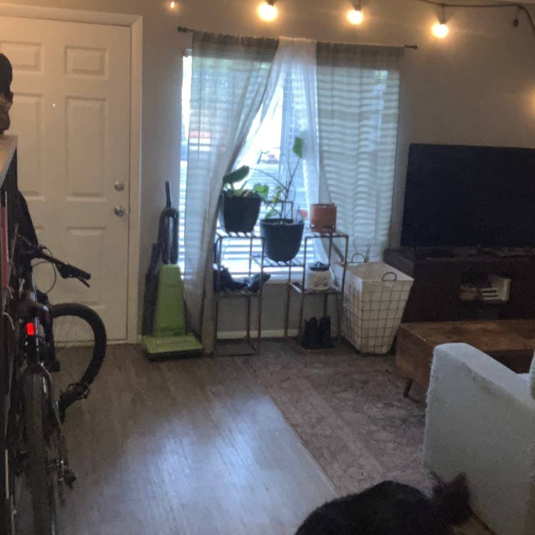 Room for rent!