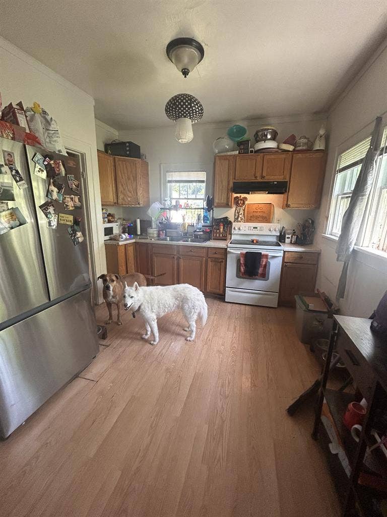 New Listing