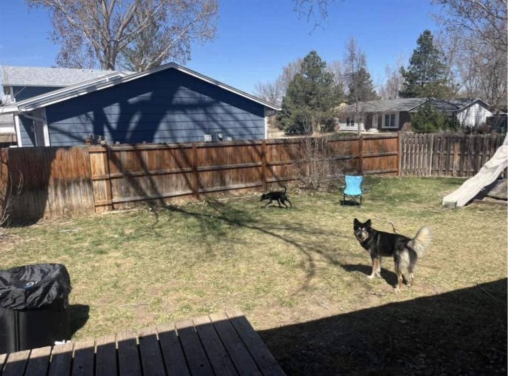 New Listing