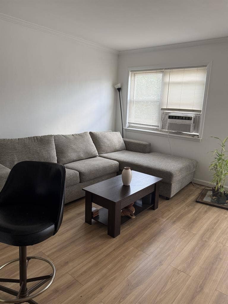 Female roommate wanted