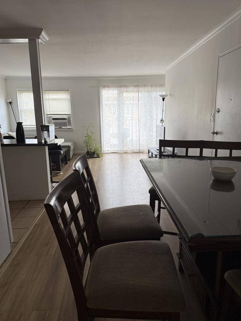 Female roommate wanted