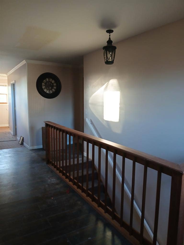 Looking for 2 roommates