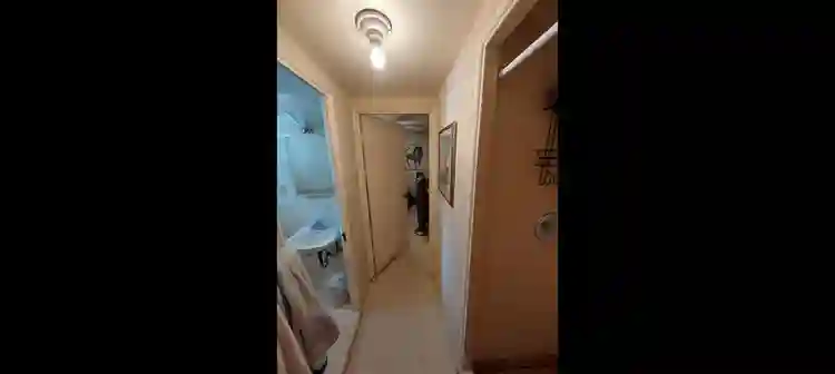 By John Carrol, looking for roomate