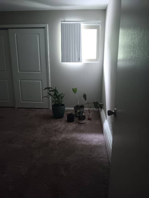 3rd floor apartment in warwick