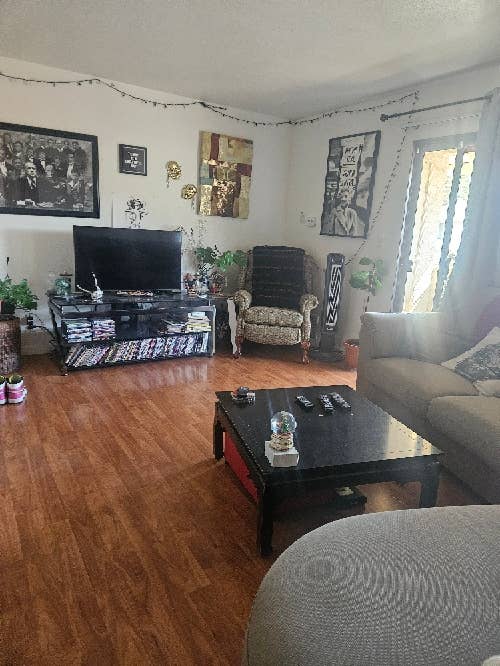 In search of roomie