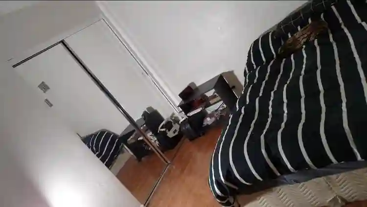 In search of roomie