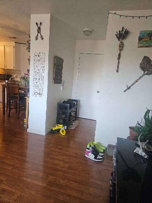 In search of roomie