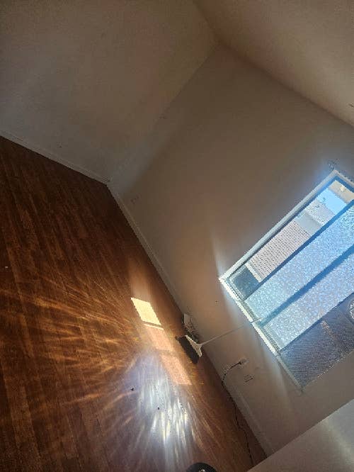 In search of roomie