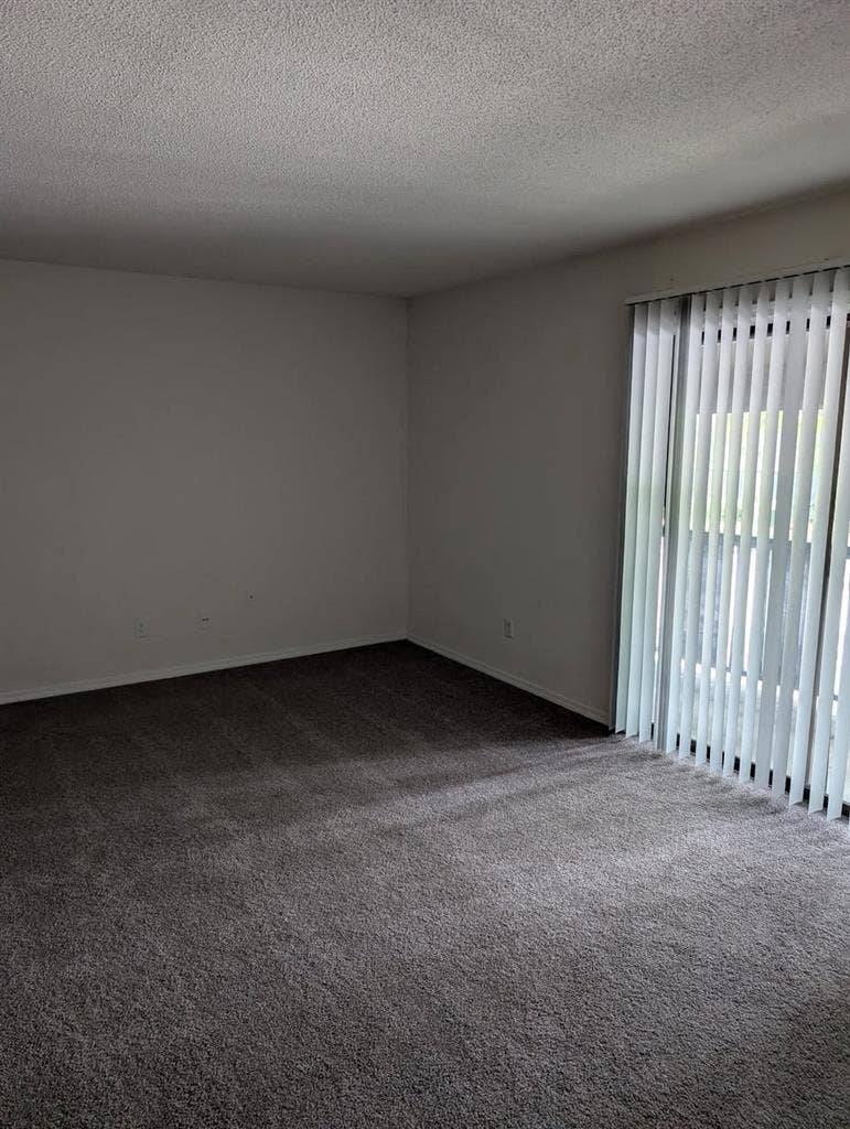 Looking For A Roommate in Anderson
