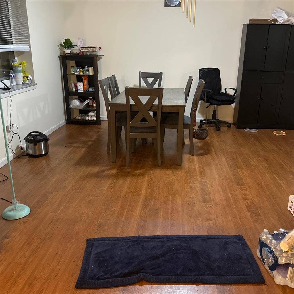 Female room mate needed