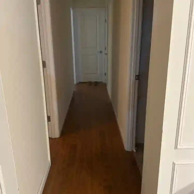 Female room mate needed