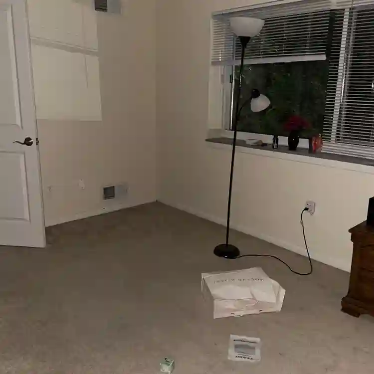 Female room mate needed