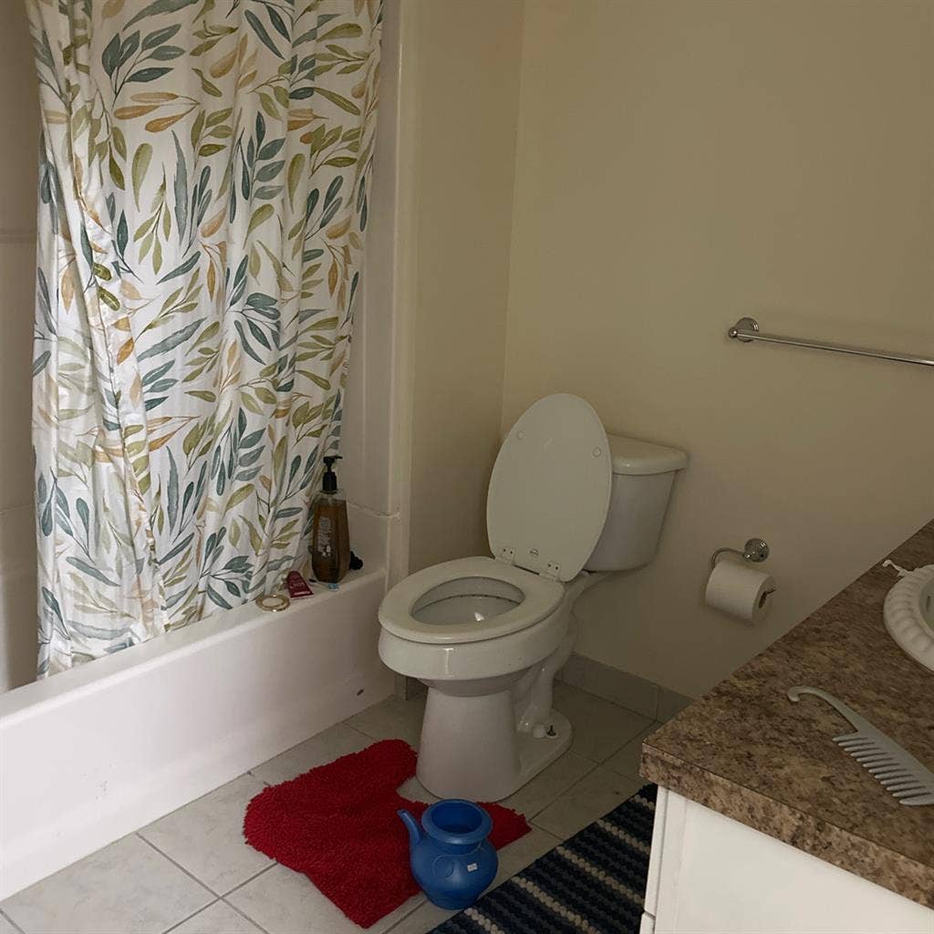 Female room mate needed