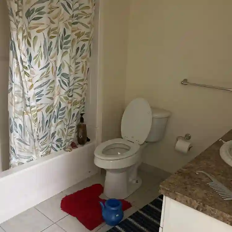 Female room mate needed